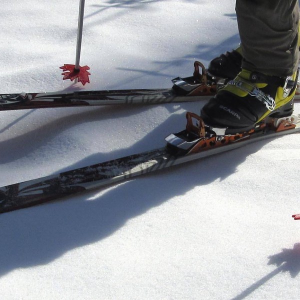 Ski Pole Powder Baskets Leave a Leaf