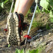 Trekking Pole Baskets
