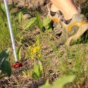 Trekking Pole Baskets